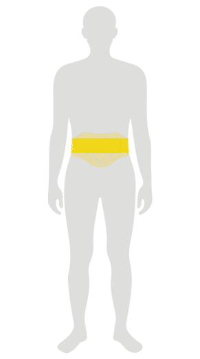 CINTURON LUMBAR KOKU LS2